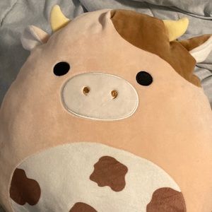Cow squish mellow